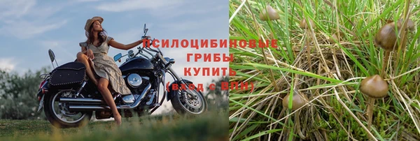крисы Алексин