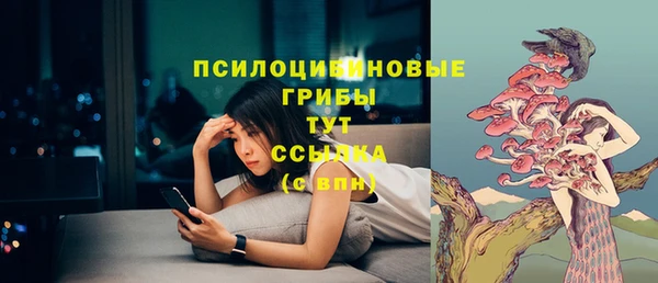 крисы Алексин