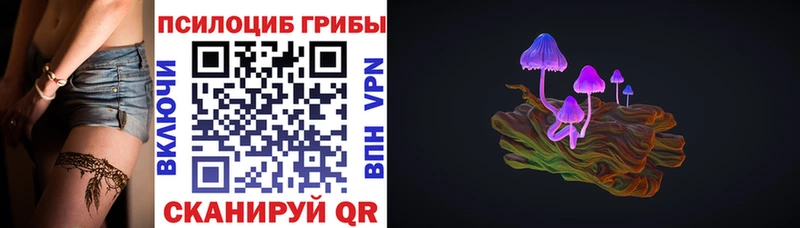 KRAKEN ССЫЛКА Киселёвск Галлюциногенные грибы прущие грибы